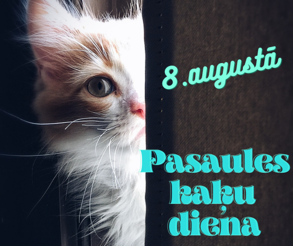 Kaķīšu foto izstāde 